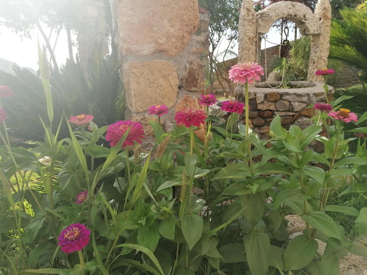 Villa Nonna Nina Капачи Екстериор снимка